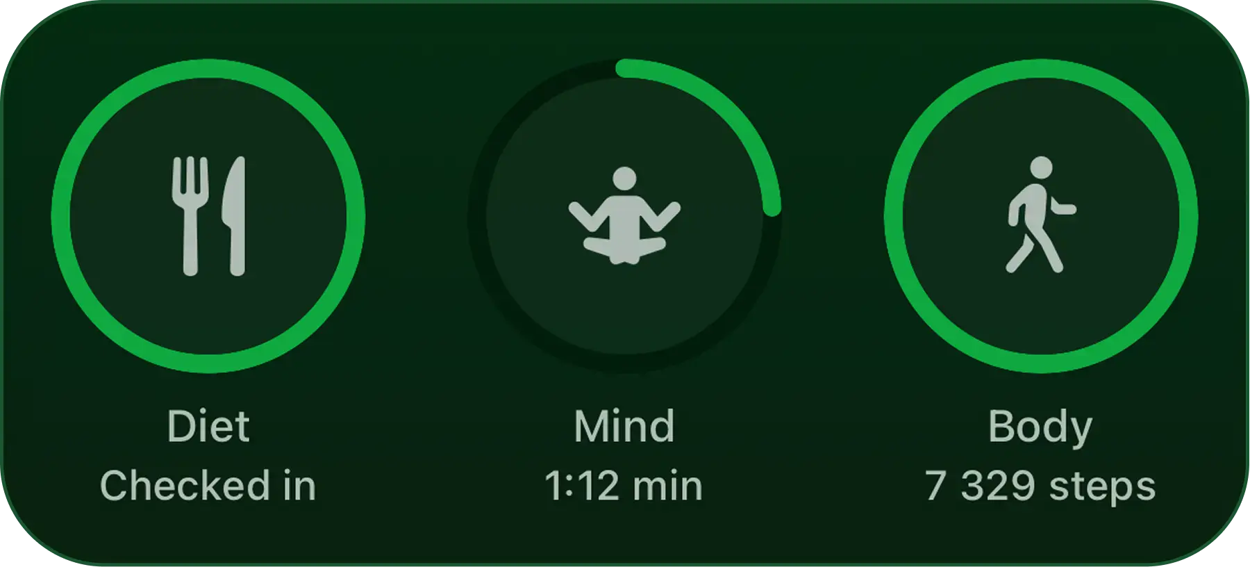 Itchi daily check-in dashboard tracking diet, mindfulness and physical activity for psoriasis management